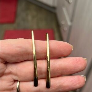 Earrings costume hook